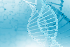 ���ο������Ծ�һ���Ǳ�����