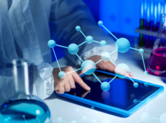 ӡ���ǳ��������ĸ��Լ۱�ѡ��