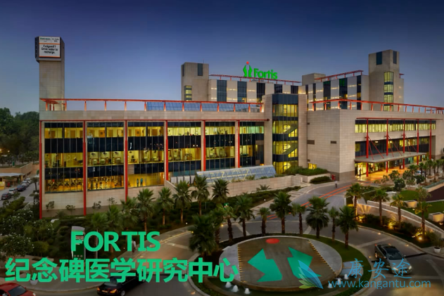 ҽ������