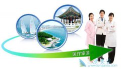 ҽ�����β�ҵ���ϸ��Ƿ����𽥳�Ϊһ�������г�