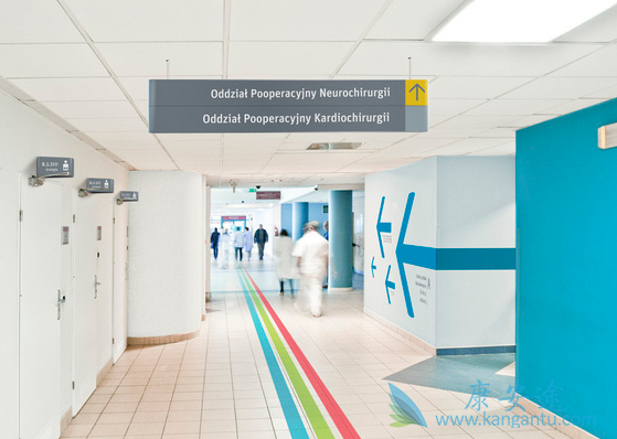 ҽ������