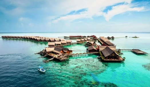 ҽ������