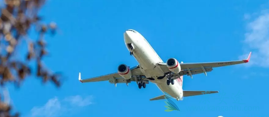 ҽ������