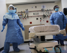 רҵ�ĺ���ҽ�ƻ������԰������߼򻯳�����������