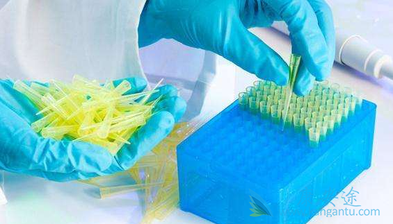 ҽ������