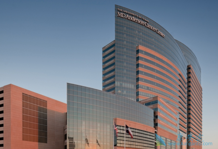 ҽ������