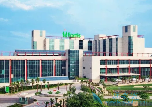 ҽ������