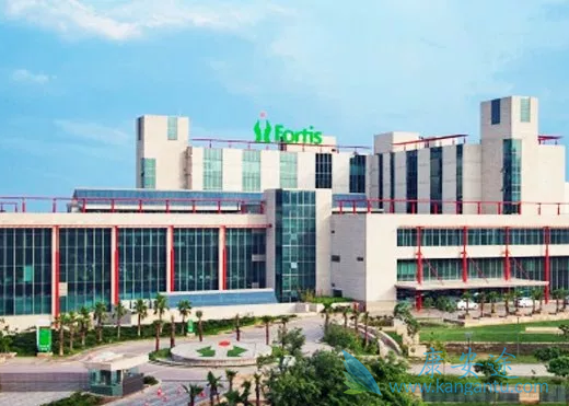 海外医疗 海外医疗