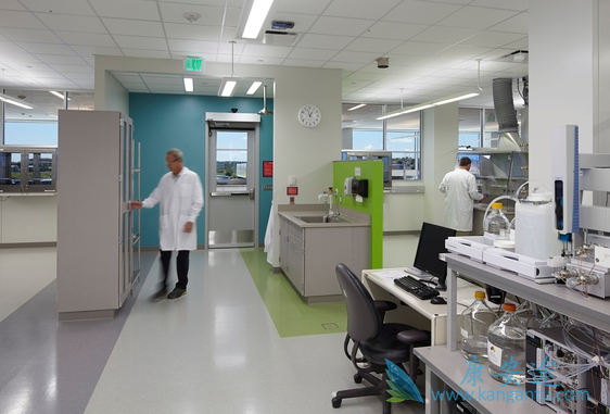 ҽ������