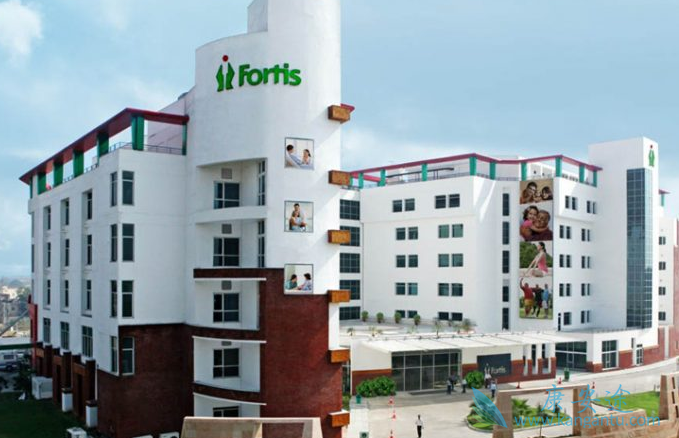 ����ҽ��