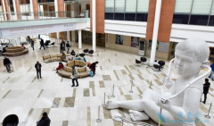 ӡ����η�չ��Ϊ���Լ۱ȵĺ���ҽ������Ŀ�ĵأ�