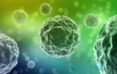 ����ҽ�Ƶ�ϸ����ֲ�������Ϊ��֢������ϣ��