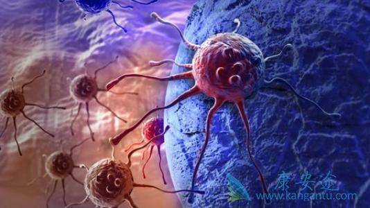 海外医疗 海外医疗