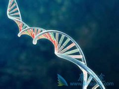 ����ҽ�Ƴ�δ����֢���ƽ��������ʱ��