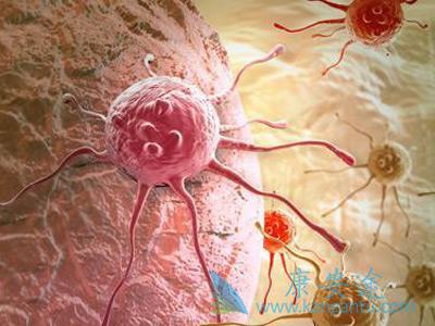 海外医疗 海外医疗