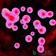 ����ҽ�ƶ�ø�ķ��������ƶ������������½׶�