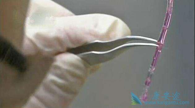 ����ҽ��