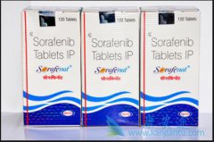 ӡ�ȷ��ư�༪�����������ᣩ����α����α