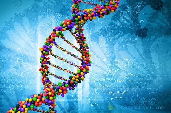 海外医疗 海外医疗