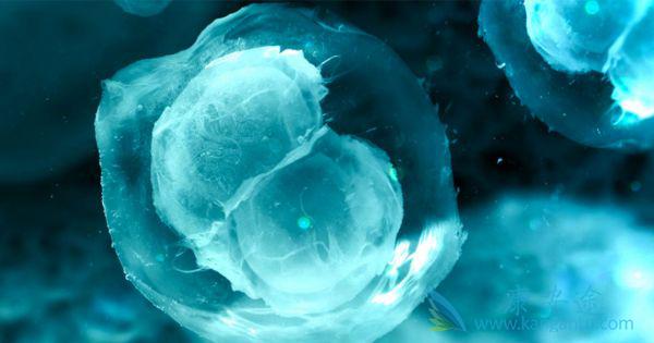 海外医疗 海外医疗