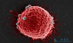 ��������ҽ���Ŷ��·��ָ���֢ҽ���ṩ����˼·