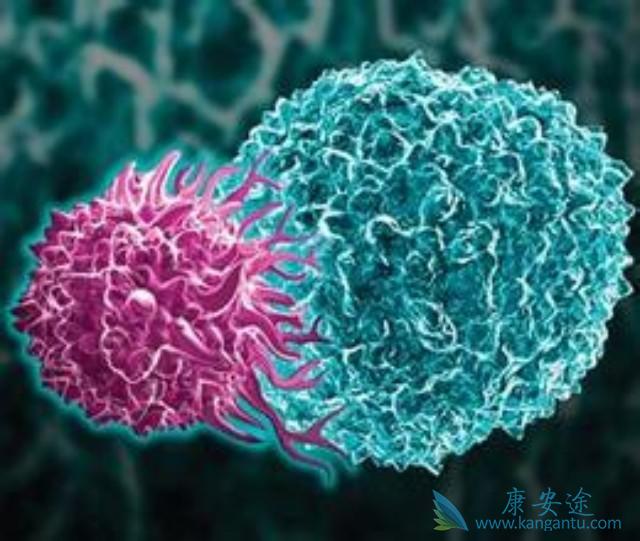 海外医疗 海外医疗