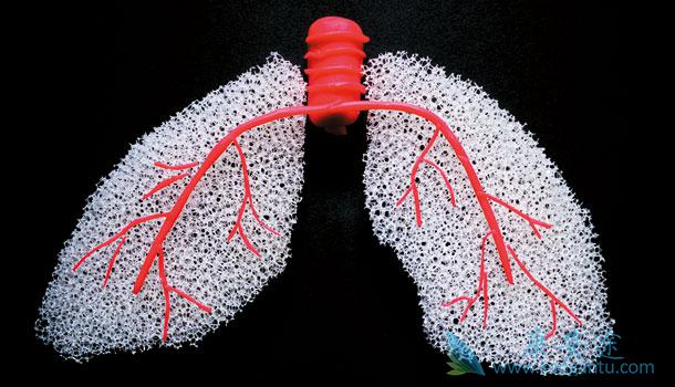 海外医疗 海外医疗