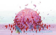 ����ҽ�Ƹ���������ΰ����߸��ʺ��������Ʒ���