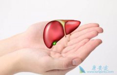 ����ҽ��ר�Ҹ����������α�ȷ�