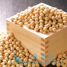 ����ҽ��