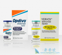 ���䵥��(nivolumab)���Ʒ�Сϸ���ΰ������ظ���������Щ