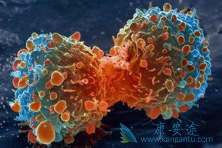 ����ҽ��