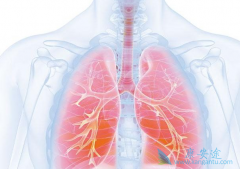 �ΰ����߼�����չ�����ʹ�ÿ�������(Xalkori)���ܻ�����