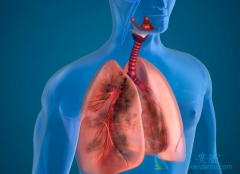 �ΰ�������ת�����չ��������(Crizotinib)�������ҩ�ĳ�������