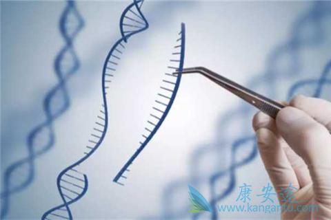 �����Ʒ�