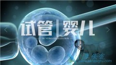 移植胚胎的选择会影响试管婴儿的妊娠率