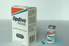 PD-1����Opdivo��Keytruda�������ҹ���֢�����������ƵĴ���