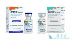 PD-1ΪƷܵСϸΰ