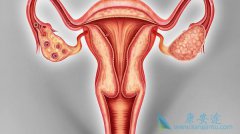 �̵����߻����ѳ������յ�6������