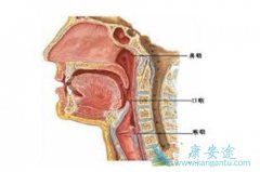 ���ڸ����ı��ʰ������ٴ�ѡ����ƻ���Ч����