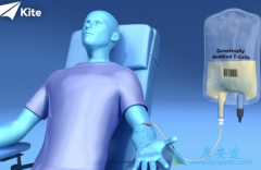 ������Ĭɳ���Ƿ񲼾���ȫ�µ�CAR-Tϸ���Ʒ�