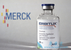 ��EGFR�����Ѿ���֤ʵ�ڽ�ֱ������������Ч����