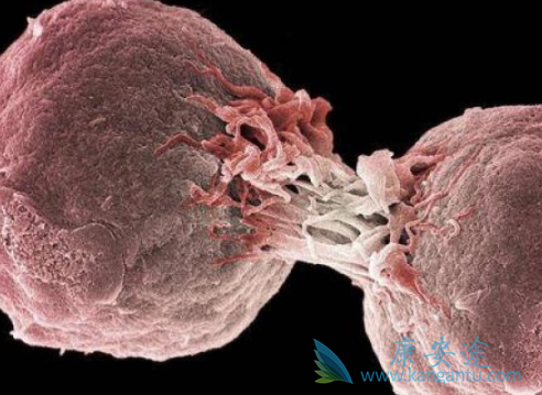 t���ܰ���