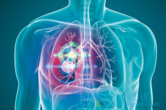 ��Щ��Сϸ���ΰ���ת�ƻ����ʺ���������