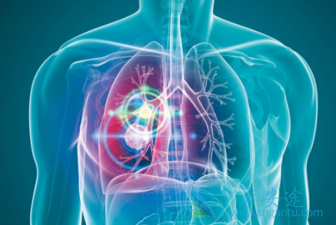 ��Сϸ���ΰ�