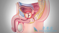 Ŀǰ���ڳ��õ�ǰ���ٰ������ڷ�������ҩ������Щ��