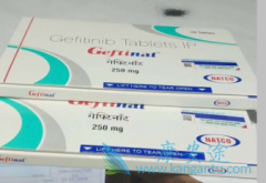 ��������(GEFITINIB)�Ի��߼�ʻ�����ݻ���������Ӱ��