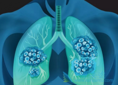 ��������ʷ��Ӱ�찲������Է�Сϸ���ΰ�����Ч