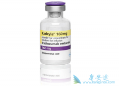 HER-2�����������ٰ�ҩ�����TDM-1������Щ��