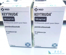 �ֲ�����/ת���Է�Сϸ���ΰ�����һ��ʹ��PD-1����Keytruda��Ч��